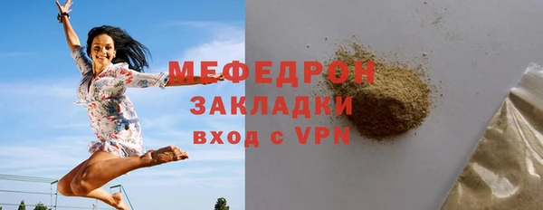 индика Бородино